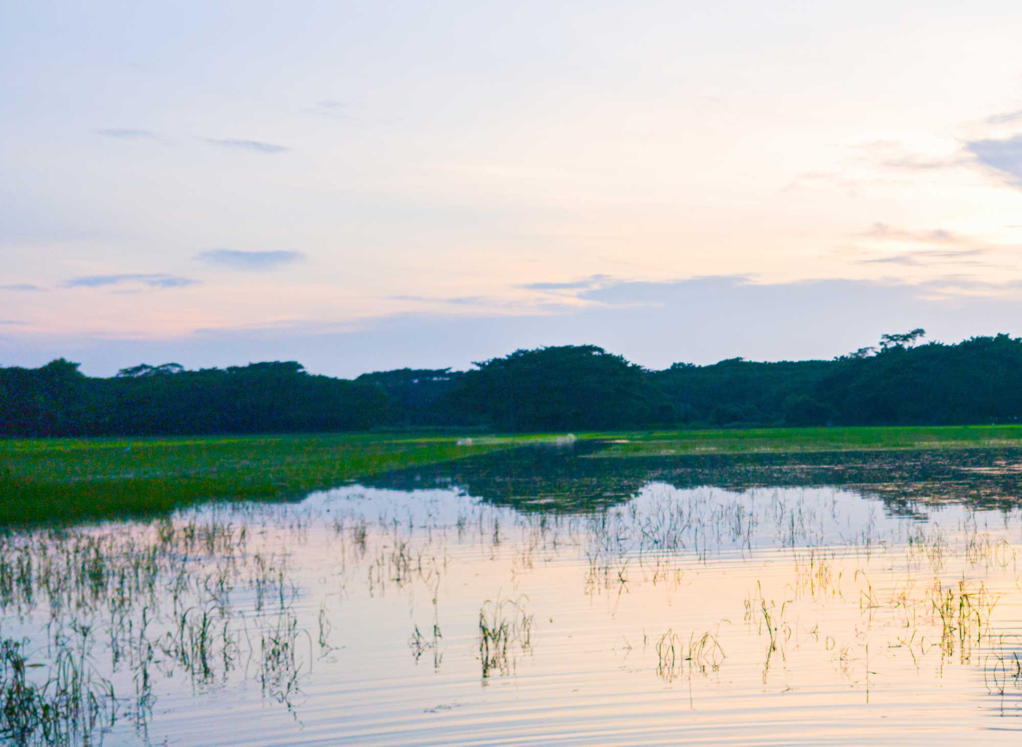 Lake View